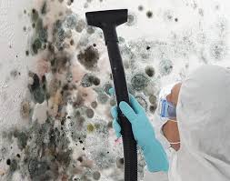 Best Mold Damage Restoration  in Smethport, PA